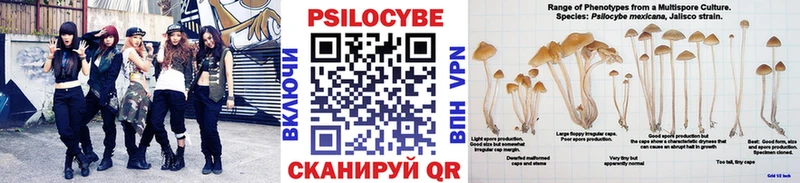 Галлюциногенные грибы MAGIC MUSHROOMS  где найти наркотики  Кызыл 