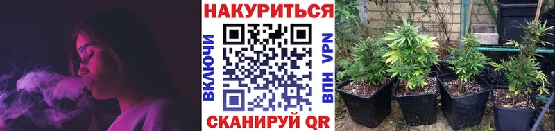 mega рабочий сайт  Кызыл  shop наркотические препараты  где можно купить   Бошки марихуана семена 